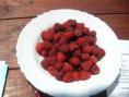 /album/micro-projets/recolte-de-framboises-jpg/